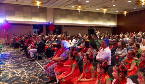 河南文化点亮开普敦夜空，“欢乐春节·豫见非洲”首演圆满成功